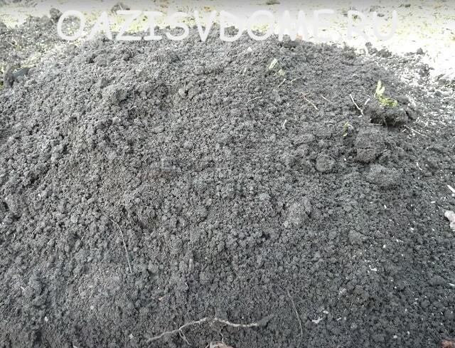 Na fotografii jsou mladé hrozny pokryty zeminou v přístřešku z láhve