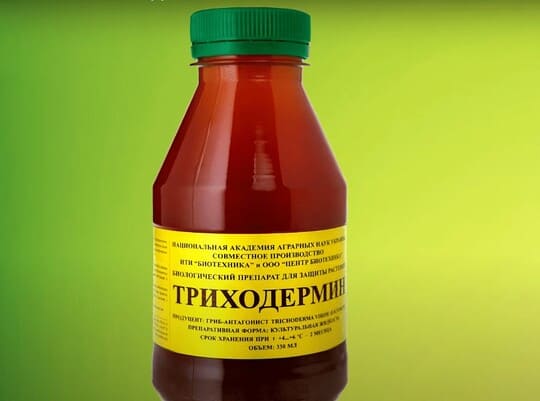 На фото биофунгицид Триходермин