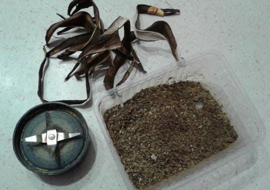 Сухие и молотые шкурки бананов для подкормки растений