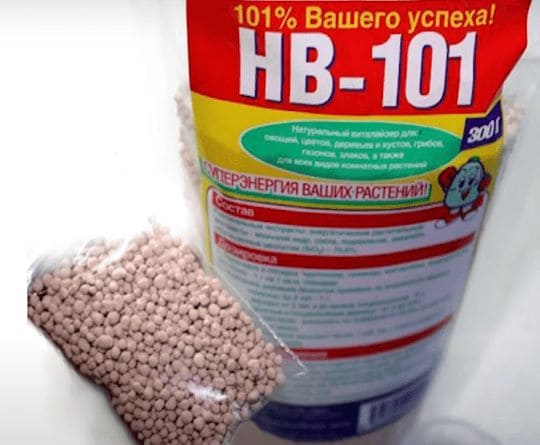 Гранулы иммуностимулятора НВ-101