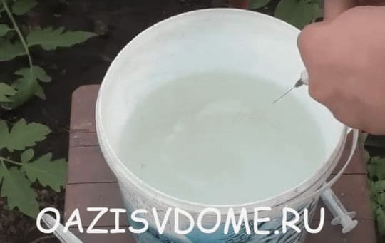 На фото приготовление раствора из удобрения Атлет