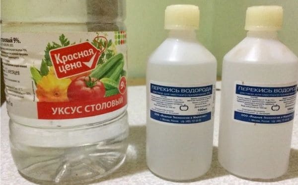 Уксус и перекись водорода для приготовления надуксусной кислоты